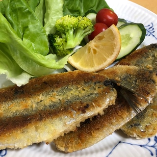 オリーブ油で焼くだけ！イワシのパン粉焼き